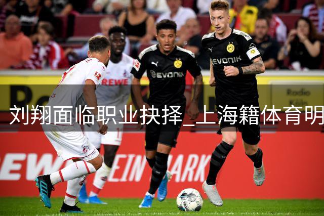 刘翔面临职业抉择 上海籍体育明星能否效仿姚明之路